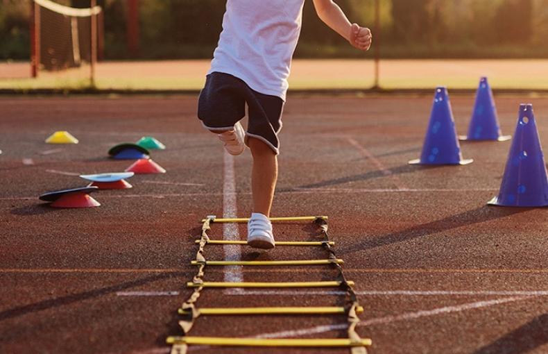 Desarrollo y motricidad