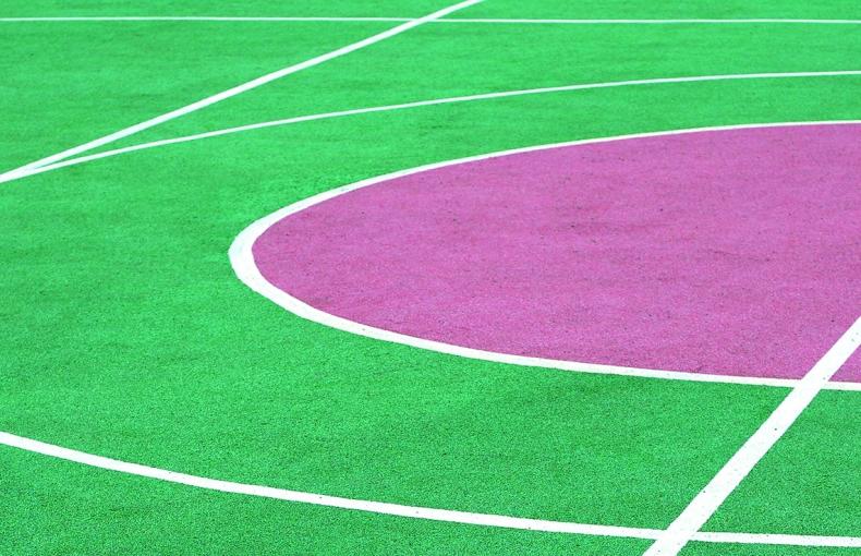 Marcaje y delimitación de terreno