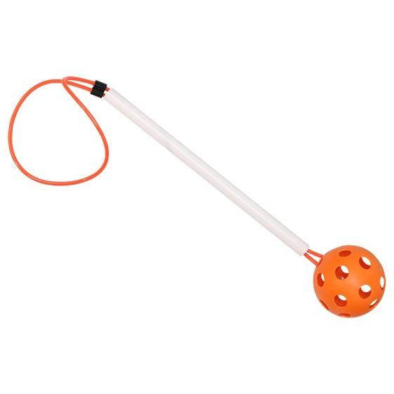 LOTE 6 PELOTAS CON MANGO - SOFTEE