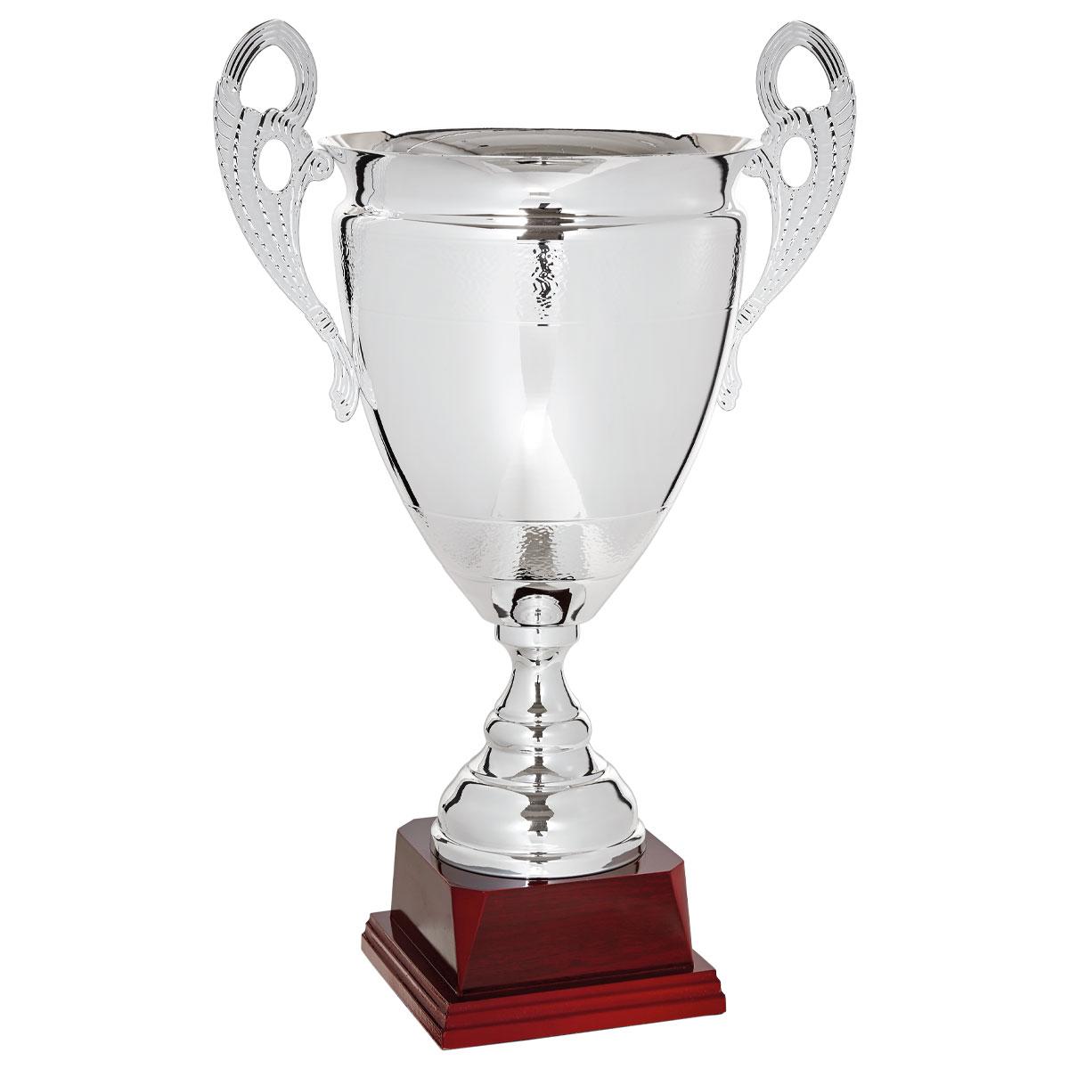 COPA LUJO Y DISEÑO PLATA - 110-2941