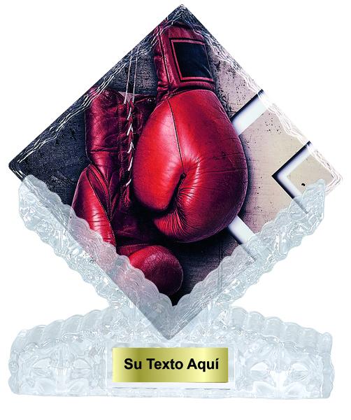 TROFEO CERAMICA BOXEO 25 cm