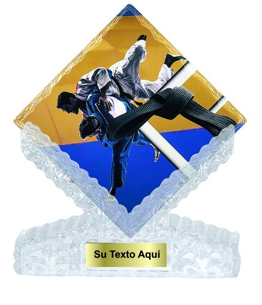 TROFEO CERAMICA JUDO 25 cm