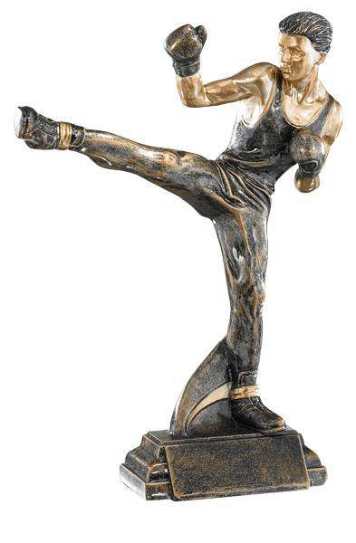 RESINA ARTES MARCIALES 27 CM