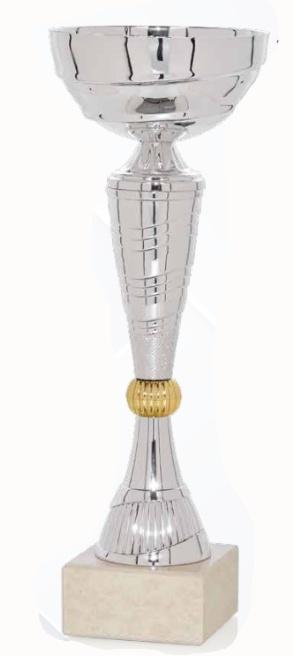 COPA ECONOMICA ORO/PLATA - 66-6521